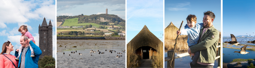Scrabo Tower and WWT Castle Espie